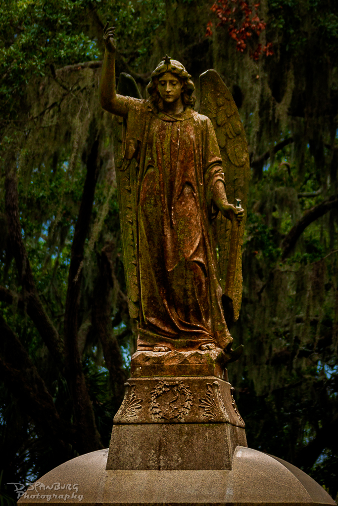 Photo of Stone Angel