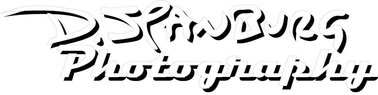 DSpanburg Photography logo